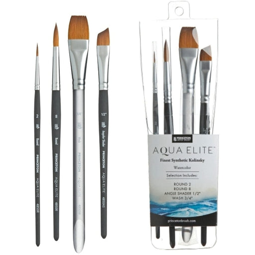 PRINCETON PRINCETON Princeton Aqua Elite 4850 SH Professional 4PC Set