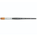 PRINCETON PRINCETON Princeton Aqua Elite 4850 SH Stroke Size