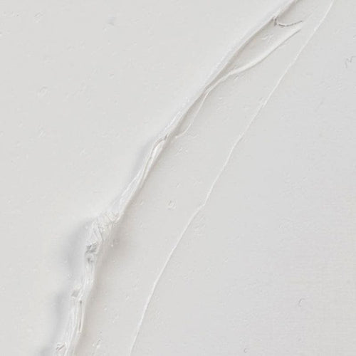 Rembrandt Oil - 104 - Zinc White S1