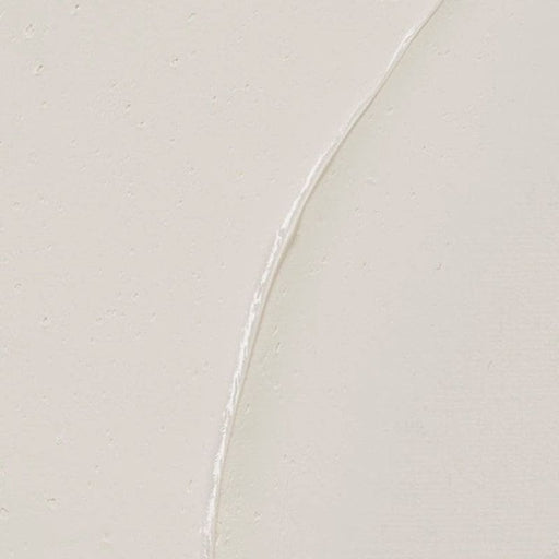 REMBRANDT OILS REMBRANDT Rembrandt Oil - 117 - Zinc White (Linseed Oil) S1