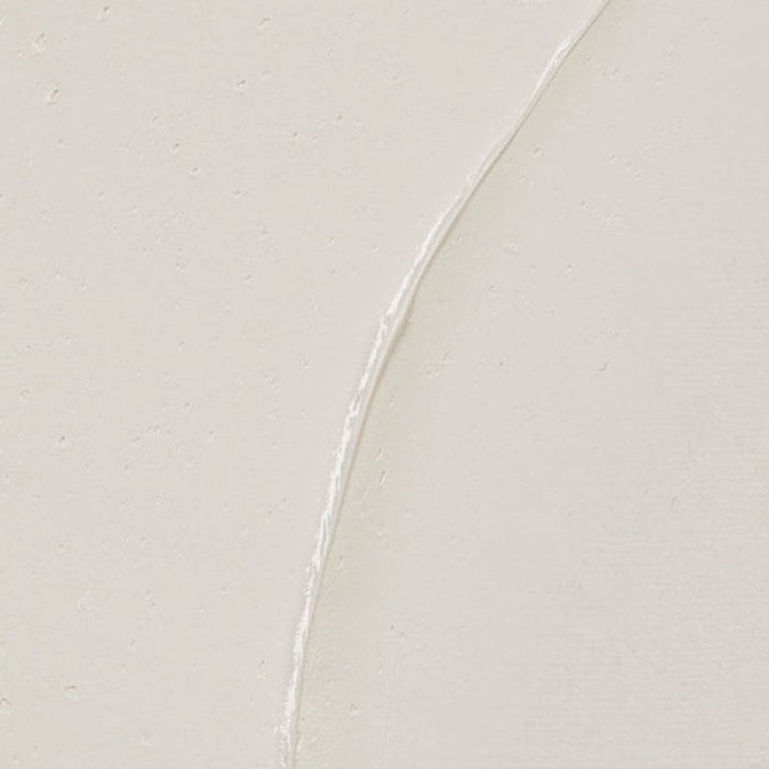 REMBRANDT OILS REMBRANDT Rembrandt Oil - 117 - Zinc White (Linseed Oil) S1