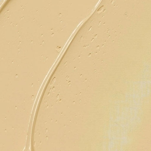 REMBRANDT OILS REMBRANDT Rembrandt Oil 40ml - 222 - Naples Yellow Light S2