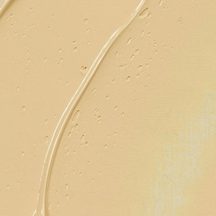 REMBRANDT OILS REMBRANDT Rembrandt Oil 40ml - 222 - Naples Yellow Light S2