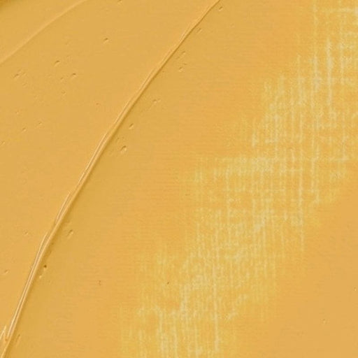 REMBRANDT OILS REMBRANDT Rembrandt Oil 40ml - 223 - Naples Yellow S2