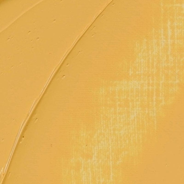 REMBRANDT OILS REMBRANDT Rembrandt Oil 40ml - 223 - Naples Yellow S2