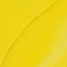 REMBRANDT OILS REMBRANDT Rembrandt Oil 40ml - 254 - Permanent Lemon Yellow S3