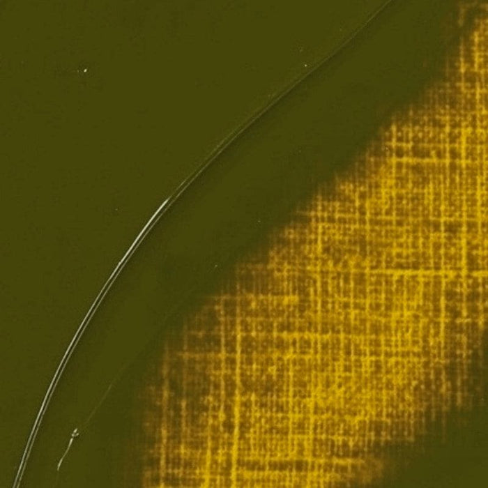 REMBRANDT OILS REMBRANDT Rembrandt Oil 40ml - 281 - Transparent Yellow Green S3