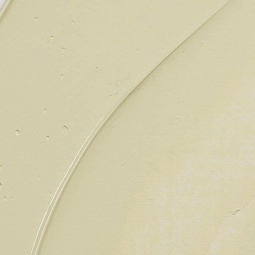 REMBRANDT OILS REMBRANDT Rembrandt Oil 40ml - 282 - Naples Yellow Green S2