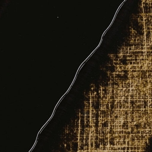 REMBRANDT OILS REMBRANDT Rembrandt Oil 40ml - 410 - Greenish Umber S1