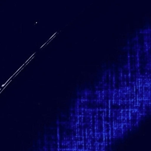 REMBRANDT OILS REMBRANDT Rembrandt Oil 40ml - 583 - Phthalo Blue Red S3