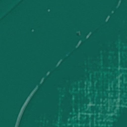 REMBRANDT OILS REMBRANDT Rembrandt Oil 40ml - 610 - Cobalt Green S5