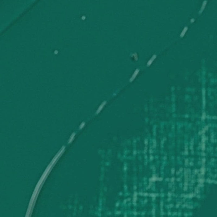 REMBRANDT OILS REMBRANDT Rembrandt Oil 40ml - 610 - Cobalt Green S5