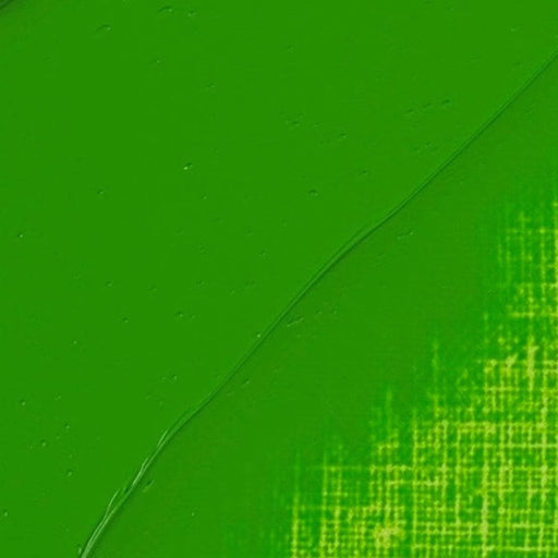 REMBRANDT OILS REMBRANDT Rembrandt Oil 40ml - 618 - Permanent Green Light S3