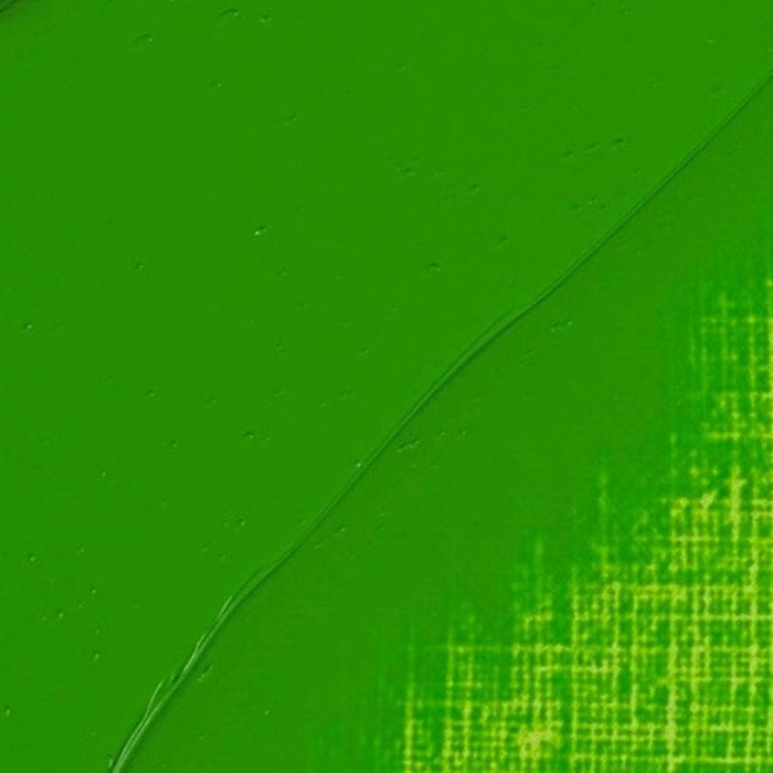 REMBRANDT OILS REMBRANDT Rembrandt Oil 40ml - 618 - Permanent Green Light S3