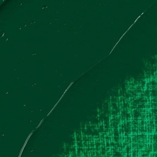 REMBRANDT OILS REMBRANDT Rembrandt Oil 40ml - 619 - Permanent Green Deep S3