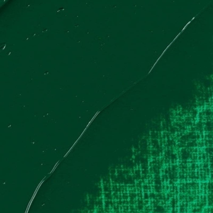 REMBRANDT OILS REMBRANDT Rembrandt Oil 40ml - 619 - Permanent Green Deep S3