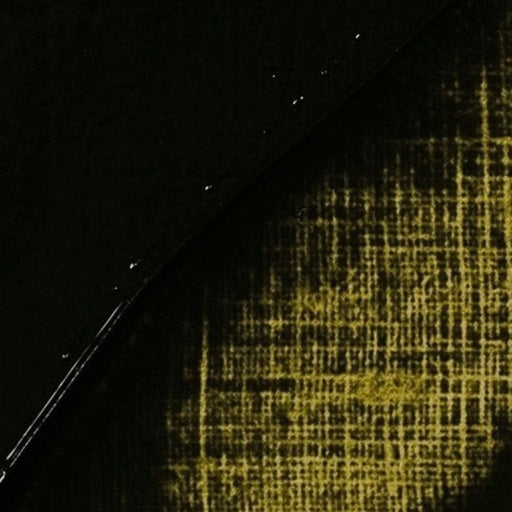 REMBRANDT OILS REMBRANDT Rembrandt Oil 40ml - 620 - Olive Green S2