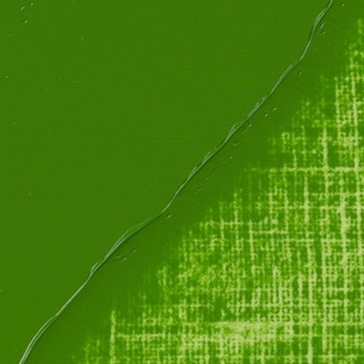 REMBRANDT OILS REMBRANDT Rembrandt Oil 40ml - 625 - Cinnabar Green Medium S2