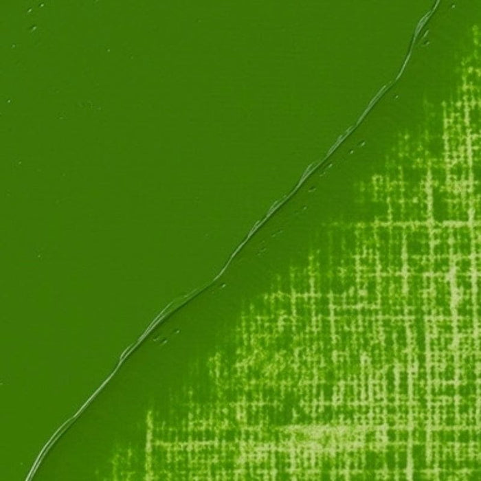 REMBRANDT OILS REMBRANDT Rembrandt Oil 40ml - 625 - Cinnabar Green Medium S2