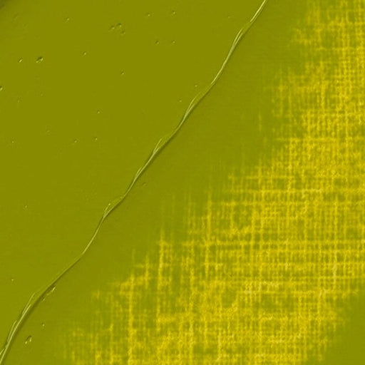 REMBRANDT OILS REMBRANDT Rembrandt Oil 40ml - 626 - Cinnabar Green Light S2