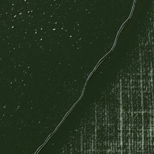 REMBRANDT OILS REMBRANDT Rembrandt Oil 40ml - 629 - Green Earth S1