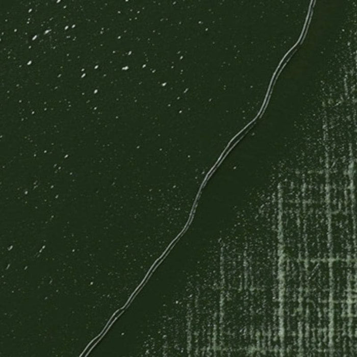 REMBRANDT OILS REMBRANDT Rembrandt Oil 40ml - 629 - Green Earth S1