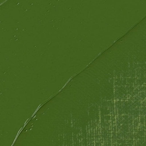 REMBRANDT OILS REMBRANDT Rembrandt Oil 40ml - 668 - Chromium Oxide Green S3