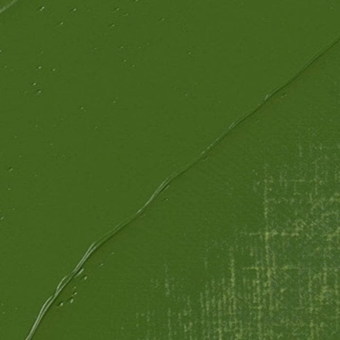 REMBRANDT OILS REMBRANDT Rembrandt Oil 40ml - 668 - Chromium Oxide Green S3