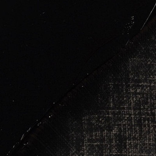 REMBRANDT OILS REMBRANDT Rembrandt Oil 40ml - 701 - Ivory Black S1