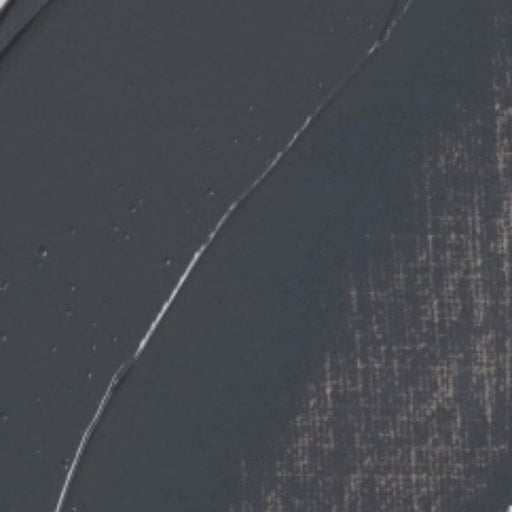 REMBRANDT OILS REMBRANDT Rembrandt Oil 40ml - 717 - Cool Grey S1