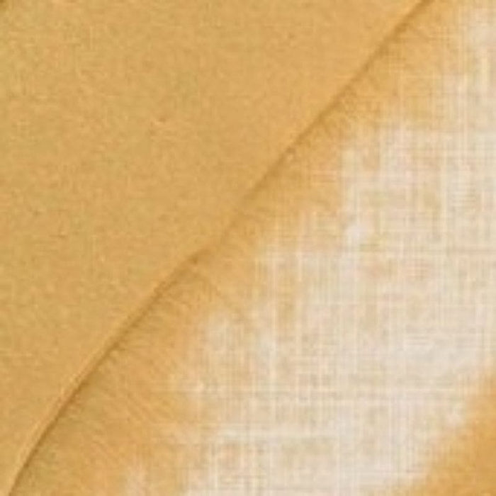 REMBRANDT OILS REMBRANDT Rembrandt Oil 40ml - 802 - Light Gold S3