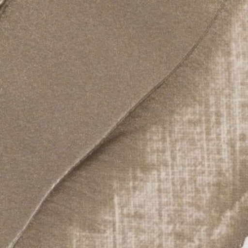 REMBRANDT OILS REMBRANDT Rembrandt Oil 40ml - 815 - Pewter S3