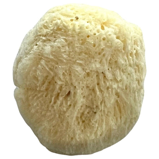 ROYAL LANGNICKEL Sea Sponge Natural Fine 2.5 - 3 inch