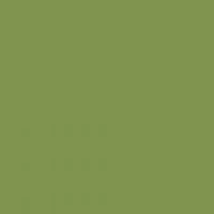 SENNELIER OIL PASTELS SENNELIER Olive Green 046 Sennelier Oil Pastels