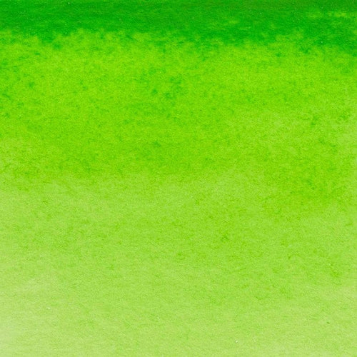 633 - Permanent Yellowish G