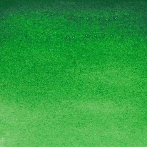 644 - Hooker Green Light