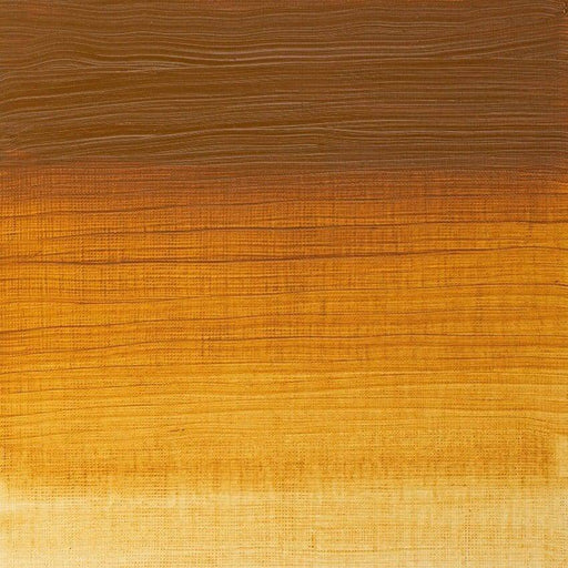 WINSOR & NEWTON ARTIST OILS WINSOR & NEWTON W&N Artist's Oil Raw Sienna 552