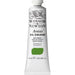 WINSOR & NEWTON ARTIST OILS WINSOR & NEWTON W&N Artist's Oil Sap Green 599