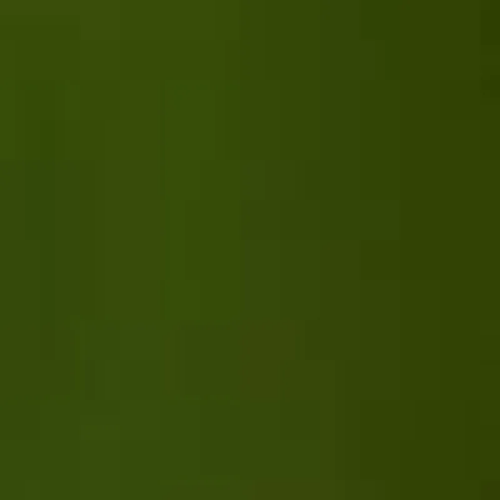 Olive Green 447