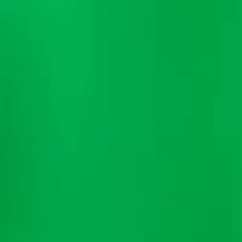 Permanent Green Light 483