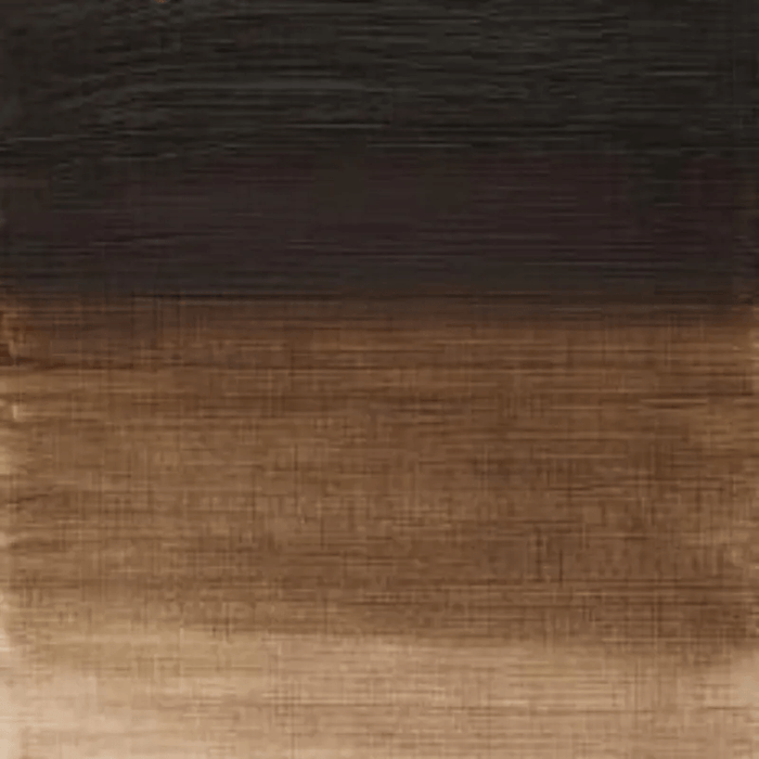 WINSOR & NEWTON WINTON WINSOR & NEWTON Winton Oils Raw Umber 554